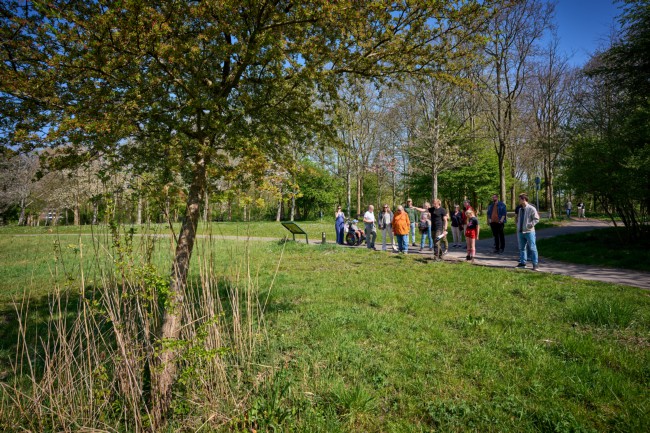 Itemnummer 84946