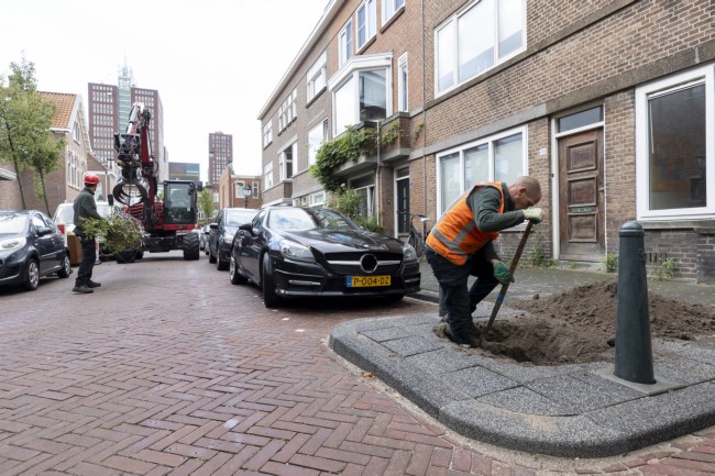 Itemnummer 75645