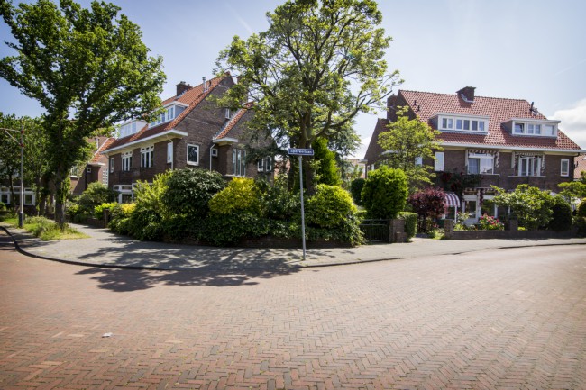 Itemnummer 44561