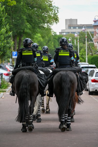 Itemnummer 88674