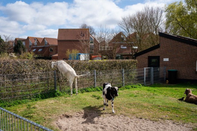 Itemnummer 84700