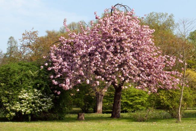 Itemnummer 44951