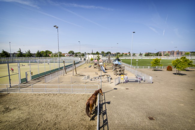 Itemnummer 36776