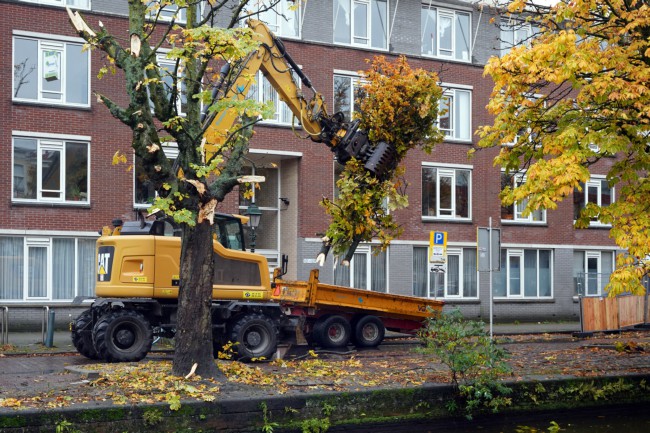 Itemnummer 61302