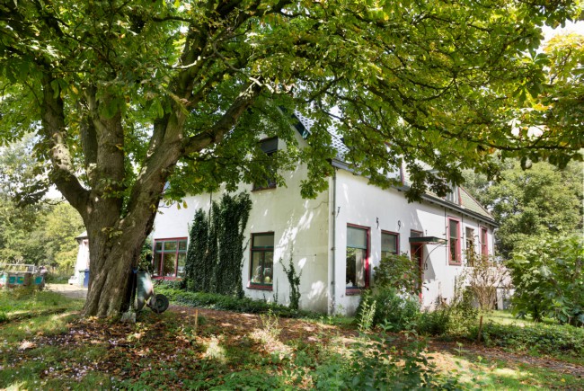 Itemnummer 68206