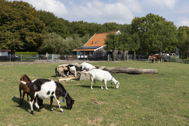 Itemnummer 55445