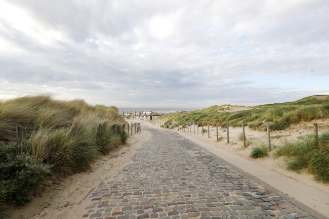 Itemnummer 83111