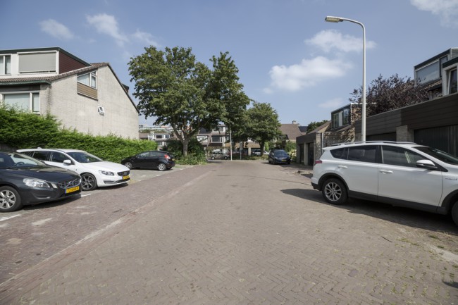 Itemnummer 50000