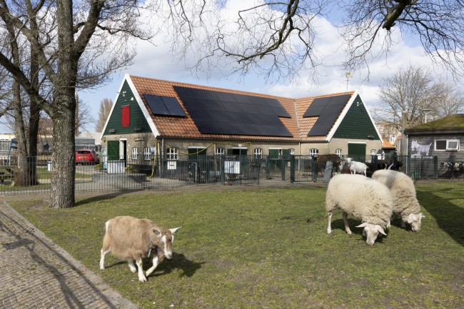 Itemnummer 81603