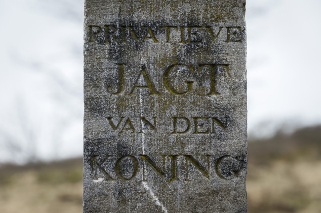 Itemnummer 35545