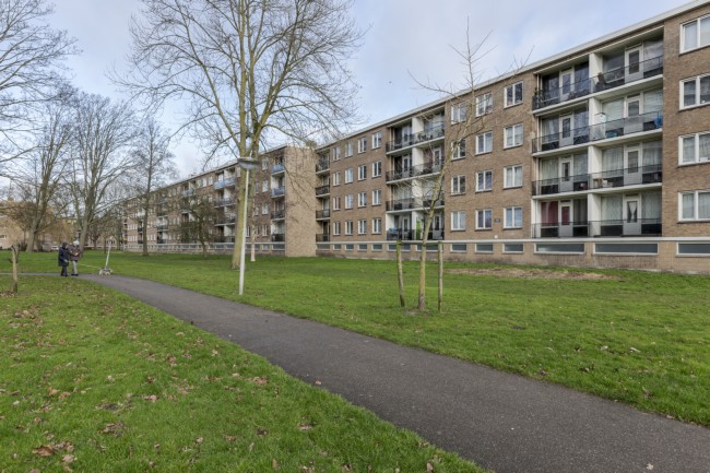 Itemnummer 50741