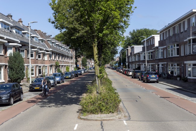 Itemnummer 63816
