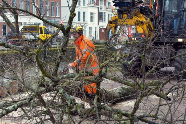 Itemnummer 59620