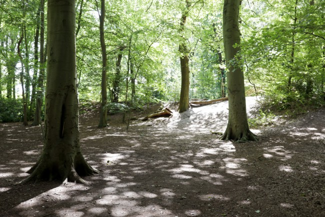 Itemnummer 74971