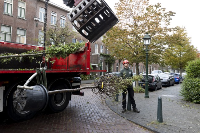 Itemnummer 75642