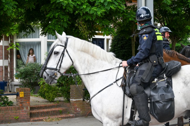 Itemnummer 88675