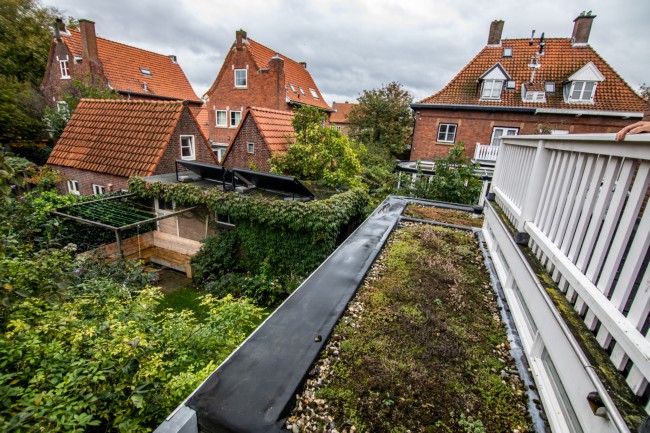 Itemnummer 44092