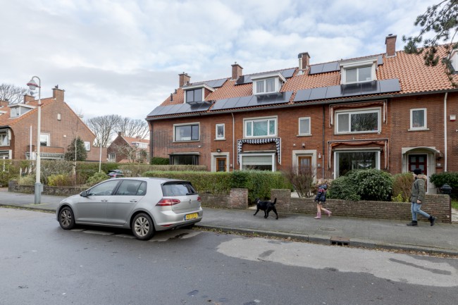 Itemnummer 50552