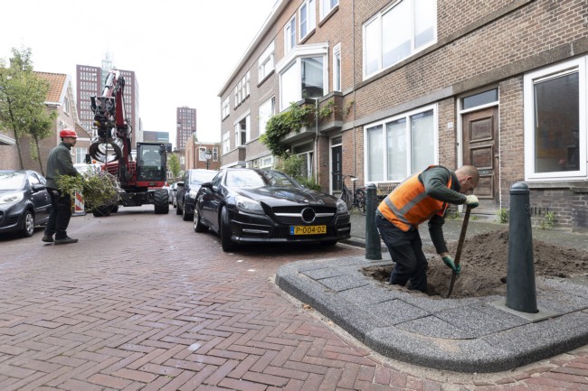 Itemnummer 75646