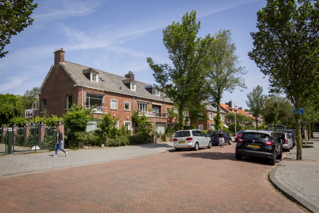 Itemnummer 44650