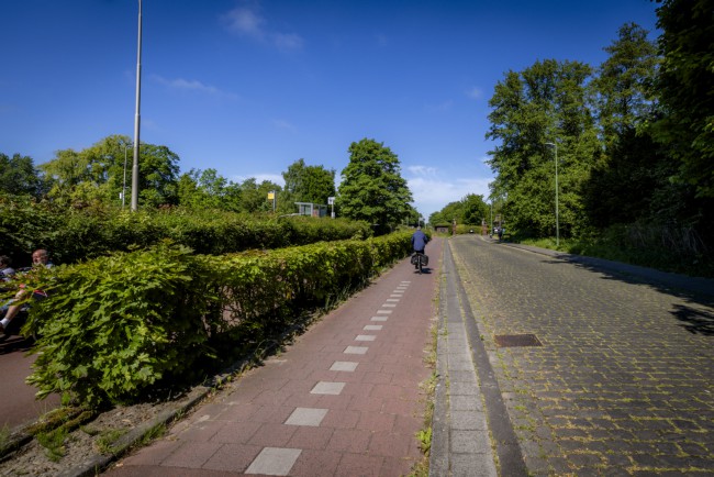 Itemnummer 86373