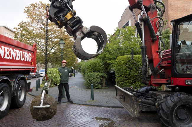 Itemnummer 75663