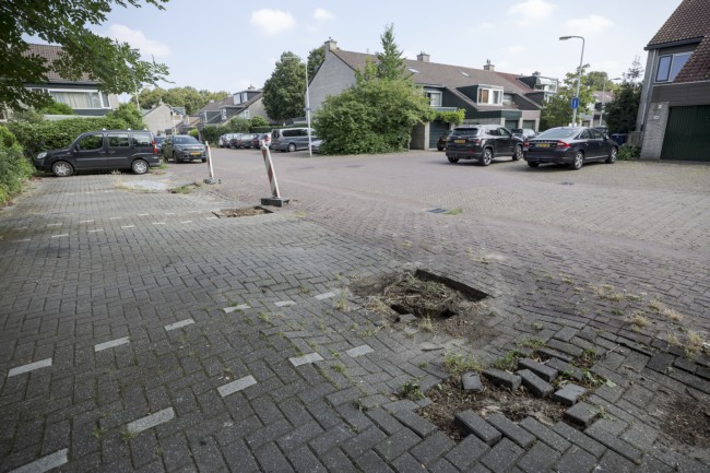 Itemnummer 50001