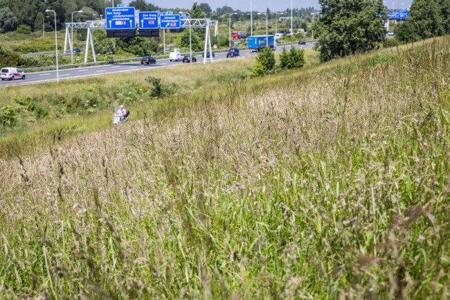 Itemnummer 40276