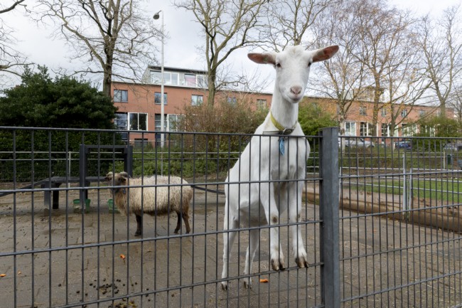 Itemnummer 65281