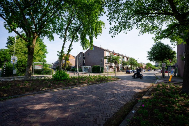 Itemnummer 87617