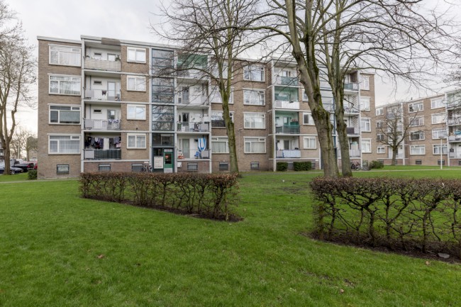 Itemnummer 47597