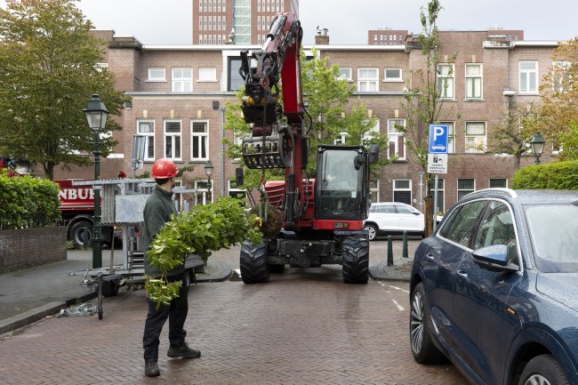 Itemnummer 75631