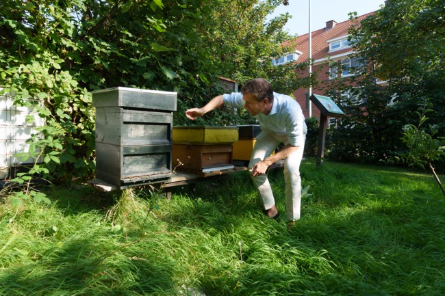 Itemnummer 46175