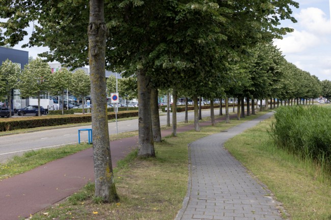 Itemnummer 89605