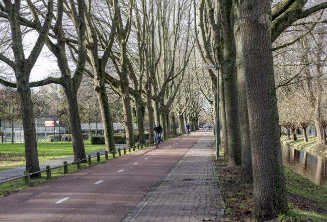 Itemnummer 50484