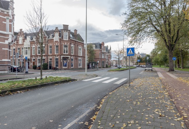 Itemnummer 50313