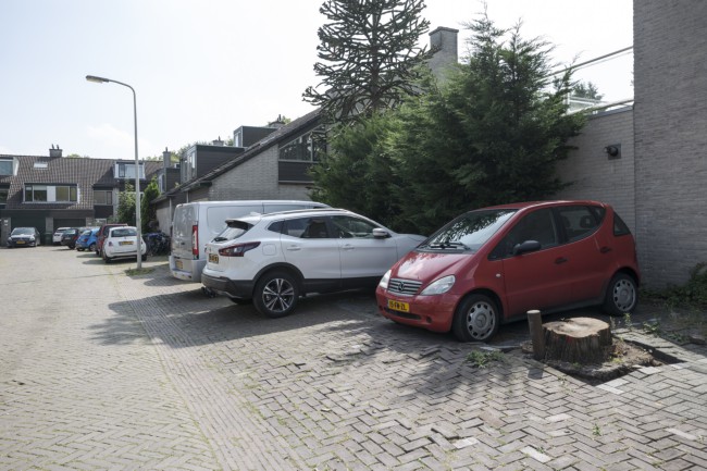 Itemnummer 50006