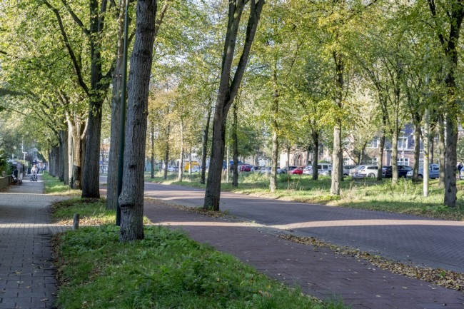 Itemnummer 50077