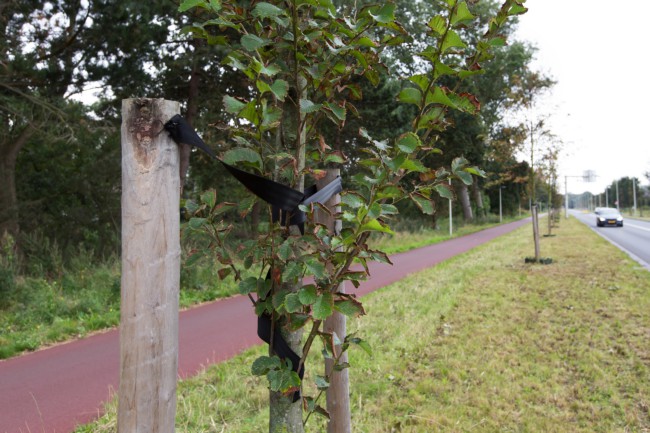 Itemnummer 45065