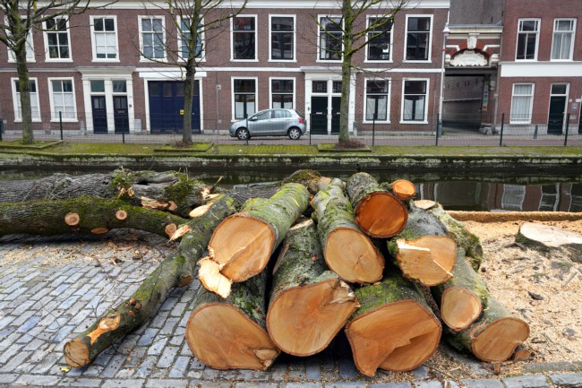 Itemnummer 56987